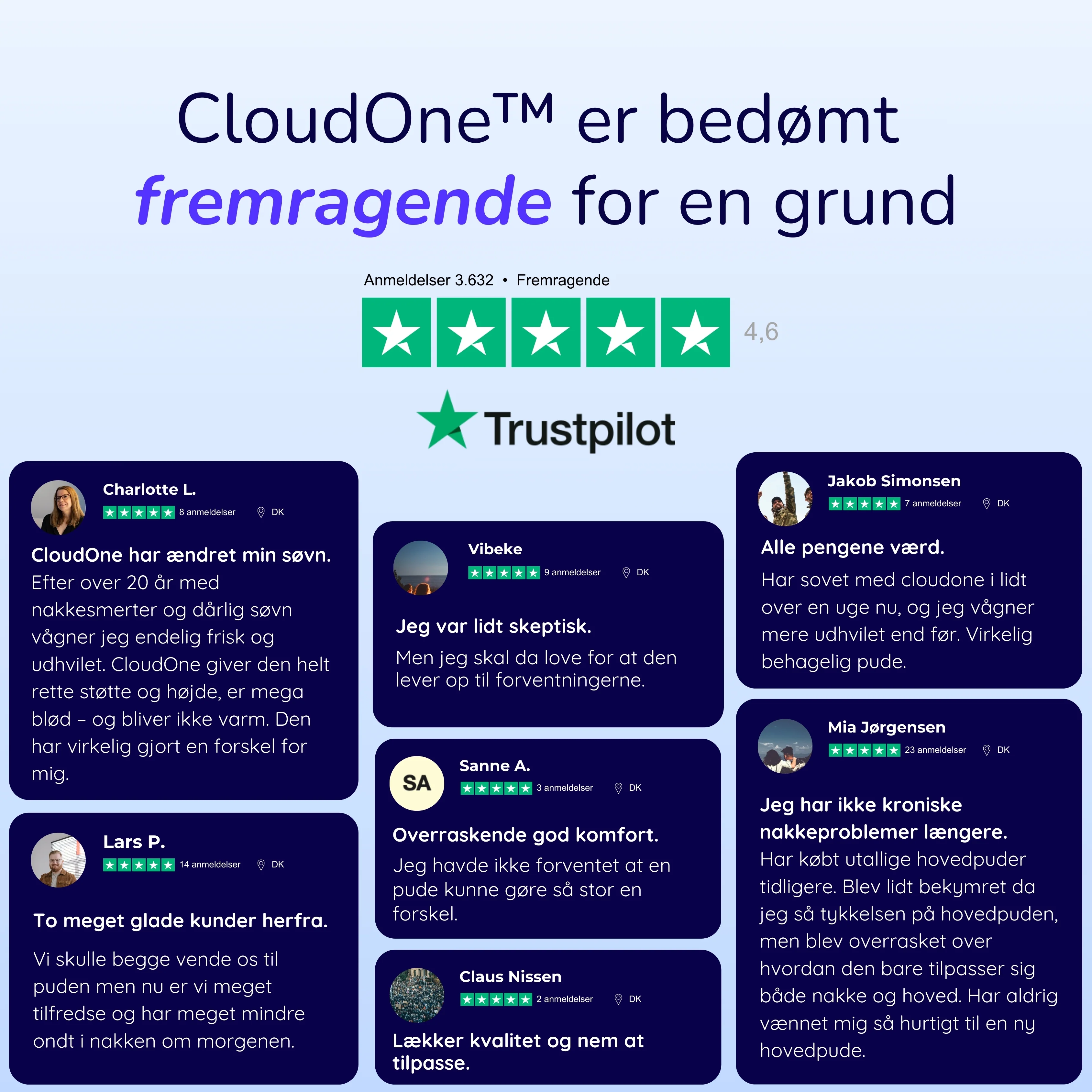 Miniaturebillede 8